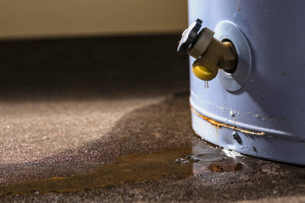 Best Flood damage cleanup  in Waawa, HI