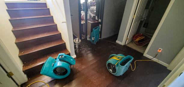 Best Flooded house restoration  in Waawa, HI