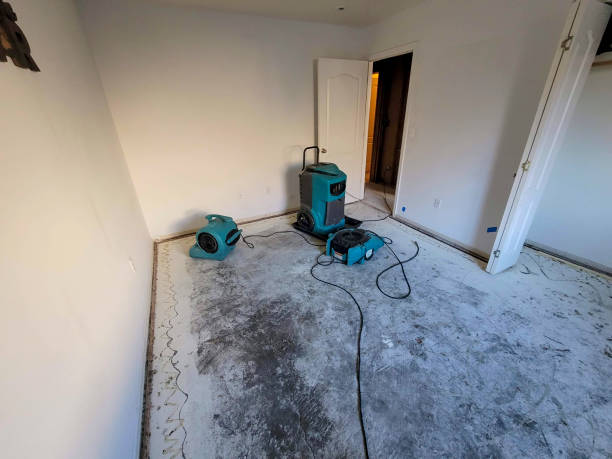 Best Emergency water damage restoration  in Waawa, HI