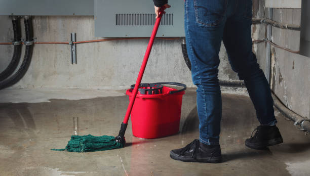 Best Local water damage restoration  in Waawa, HI