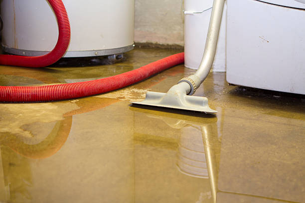 Best 24/7 water damage repair  in Waawa, HI