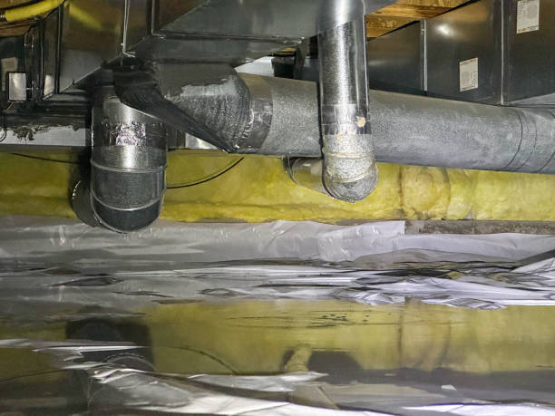Best Water damage restoration near me  in Waawa, HI