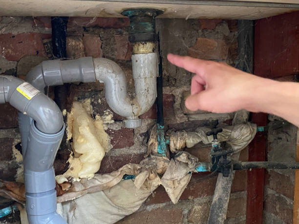 Best Water damage restoration mold remediation  in Waawa, HI